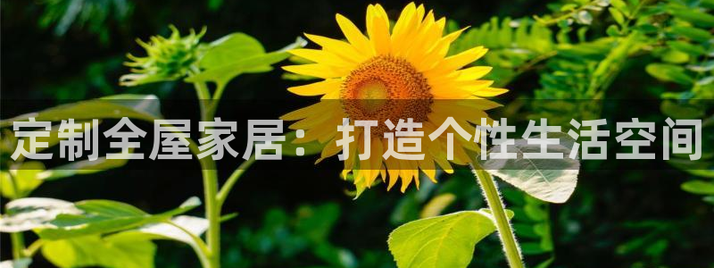 ug环球视讯延时软件