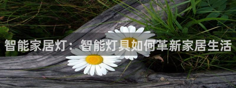 ug环球正网一比一