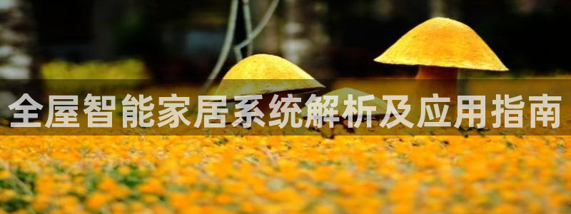 ug环球游戏网站官网