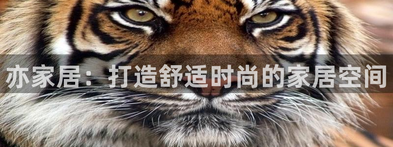 ug环球游戏网站官网