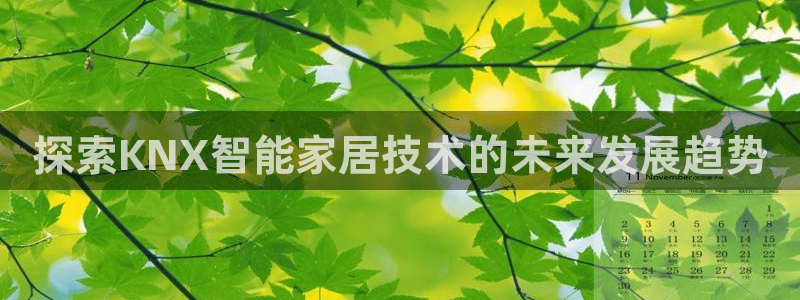 ug环球国际买分