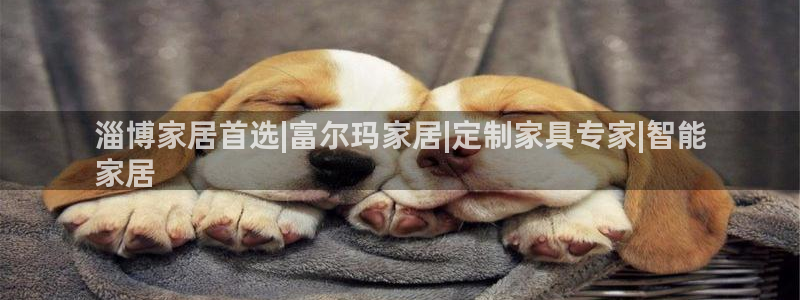 ug环球会员手机版下载