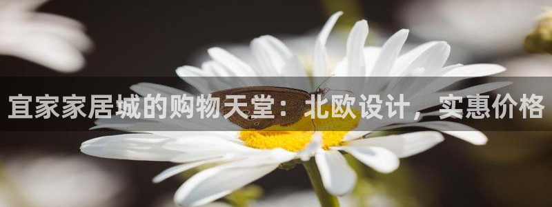 ug环球登录