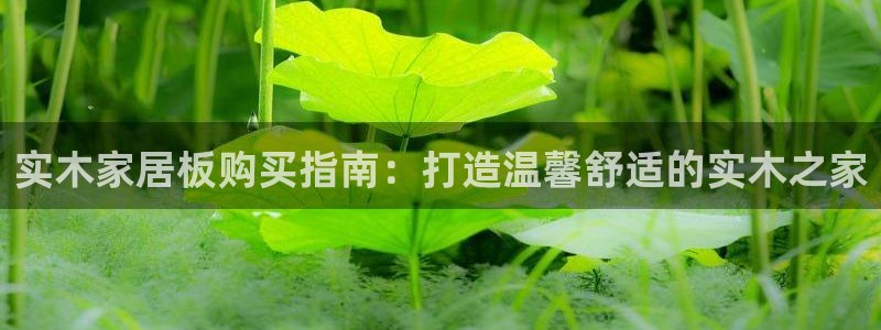 ug环球会员手机版下载官网