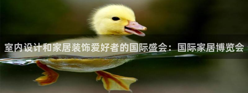 ug环球国际买分