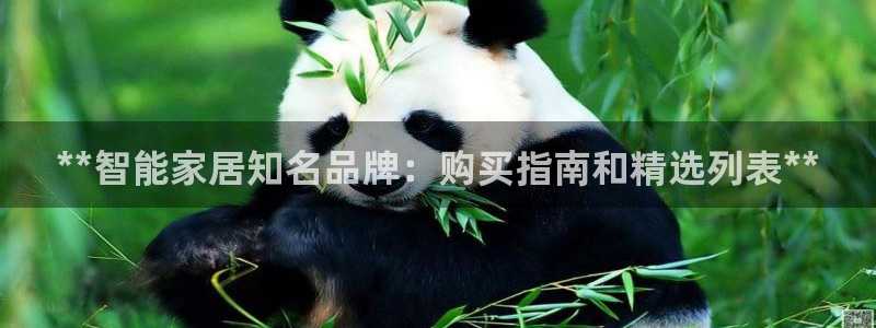 ug环球信用盘