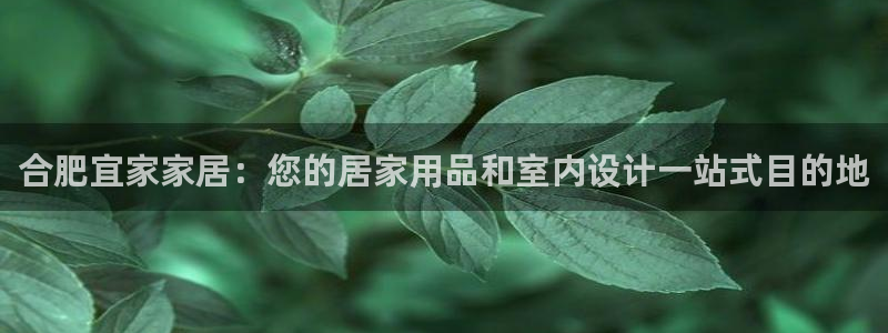 ug环球国际官网