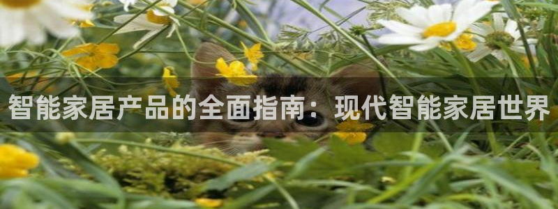 ug环球官网