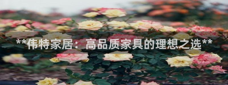 ug环球国际官网