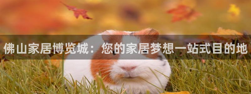 ug环球视讯官网