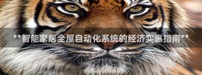 ug环球官网24小时