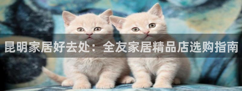 ug环球正网买分