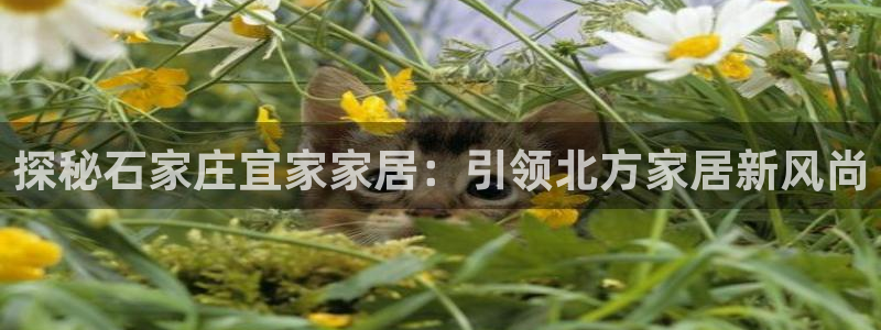 ug环球平台