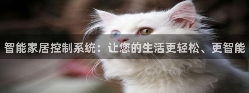 ug环球找唯xkk 908