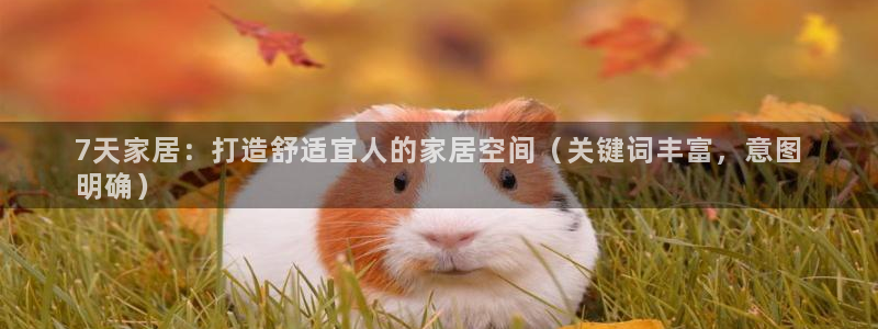ug环球代理加盟
