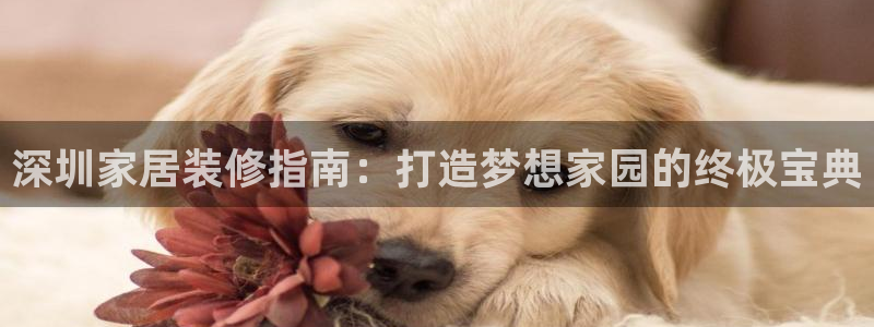 ug环球视讯官网