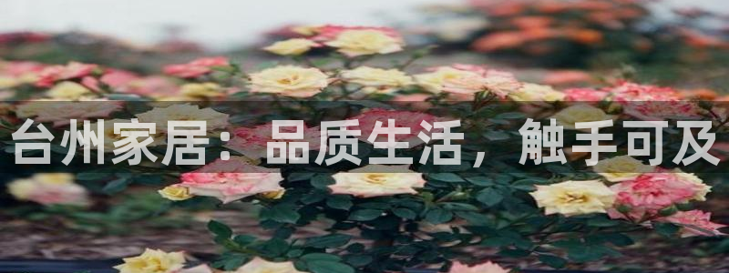 UG环球假网一比一包杀网