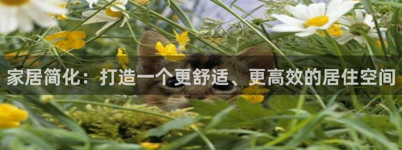 ug环球买分卖分
