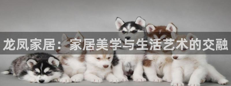 ug环球下载