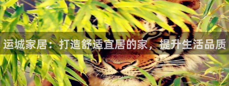 ug环球代理开户