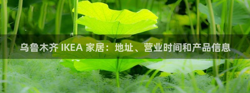 环球ug死网