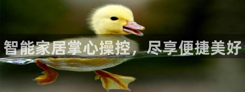 ug环球游戏网站官网