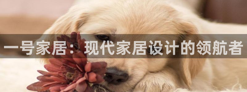 ug环球正网买分