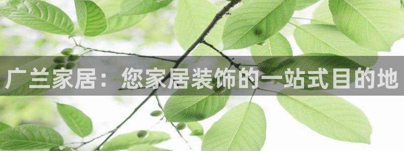 ug环球正网