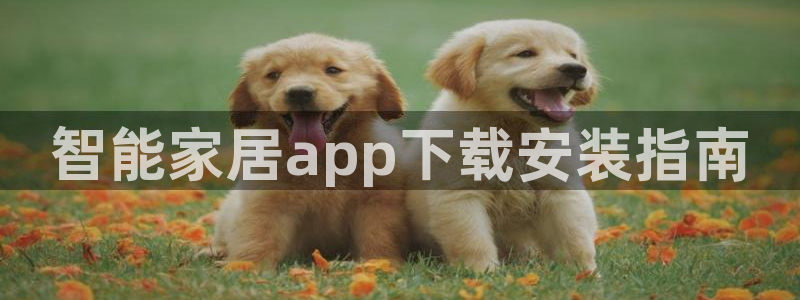UG环球假线一比一