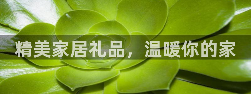 ug环球代理开户